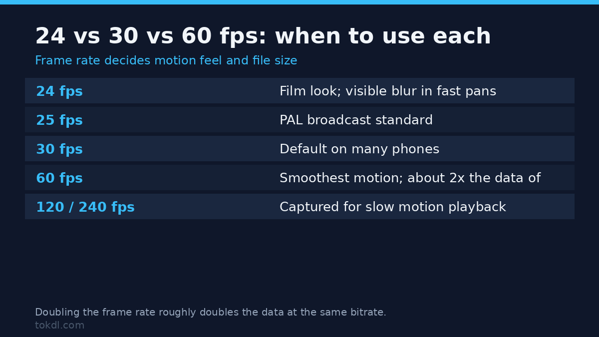 24 vs 30 vs 60 fps: when to use each frame rate
