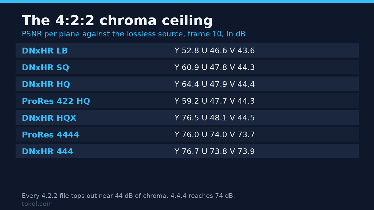 Intermediate codec chroma: every 4:2:2 file lands near 44 dB while 4:4:4 reaches 74 dB