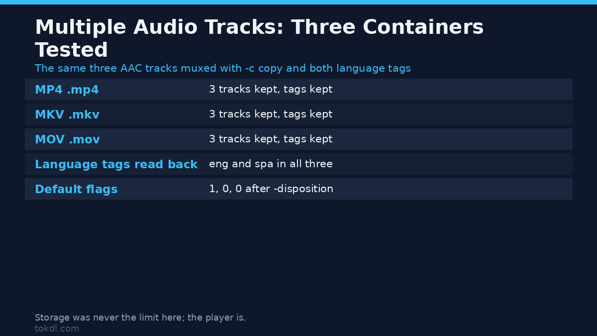 Multiple audio tracks kept in MP4, MKV and MOV with language tags