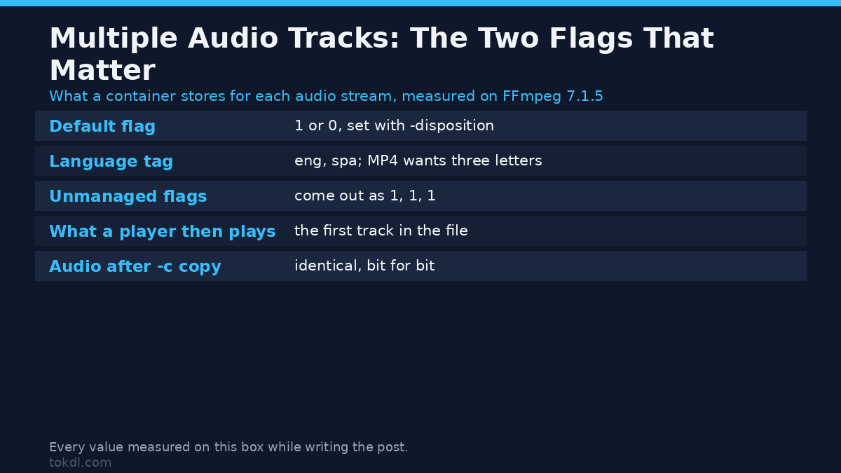 Multiple Audio Tracks in One Video: How to Add, Switch and Set the Default
